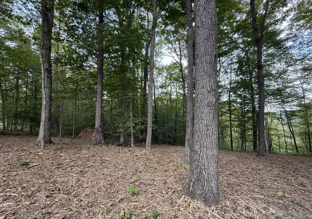 Photo 3 of Land for sale at Lot 7 & 8 Whittle Ln, Russell Springs, KY 42642 | MLS# 25501460 | Listing updated on 2025-10-09