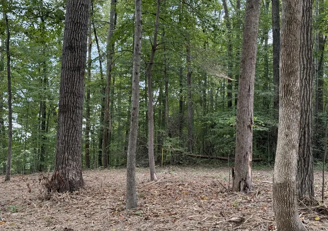 Photo 3 of Land for sale at Lot 7 & 8 Whittle Ln, Russell Springs, KY 42642 | MLS# 25501460 | Listing updated on 2025-10-09