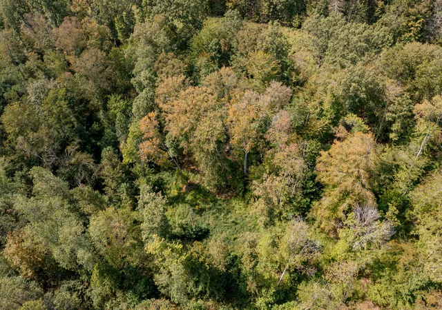 Photo 3 of Land for sale at 000 Skaggs Rd, Morehead, KY 40351 | MLS# 25501712 | Listing updated on 2025-11-27
