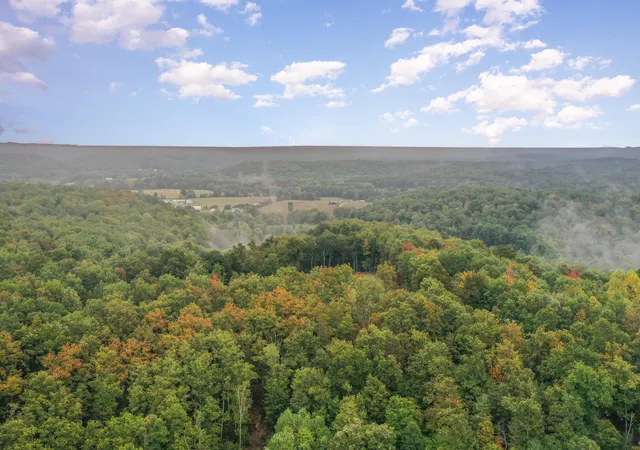 Homes for sale in Owingsville, KY | 2974 Mill Creek Rd, Owingsville, KY 40360 | MLS# 25502338