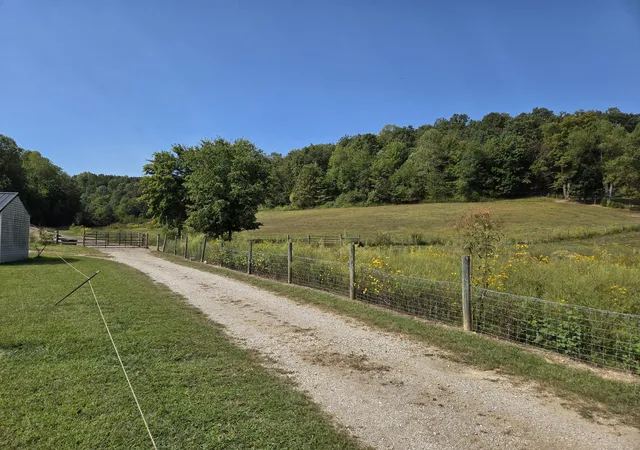Land for sale at 3557 Mill Creek Rd, Owingsville, KY 40360 | MLS# 25502255