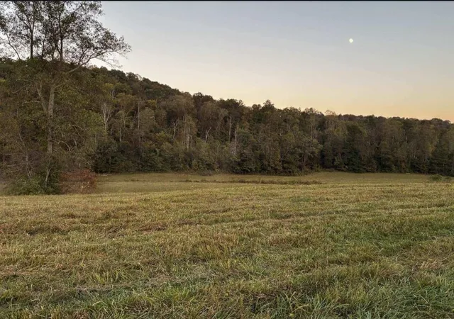 Photo 3 of House for sale at 100 Haynes Cemetery Rd, Somerset, KY 42501 | MLS# 25502083 | Listing updated on 2025-11-03