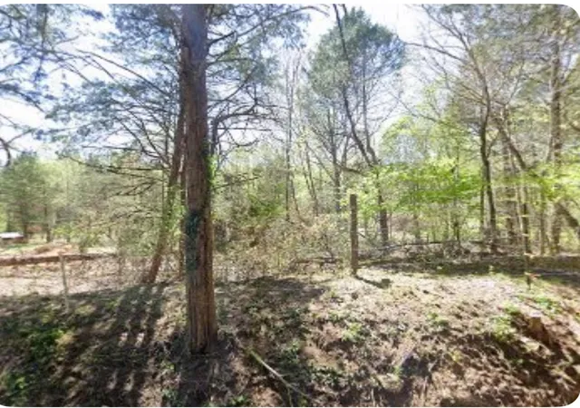 4th image of 5050 Dry Branch Rd, Lexington, KY 40515 | MLS# 25502156