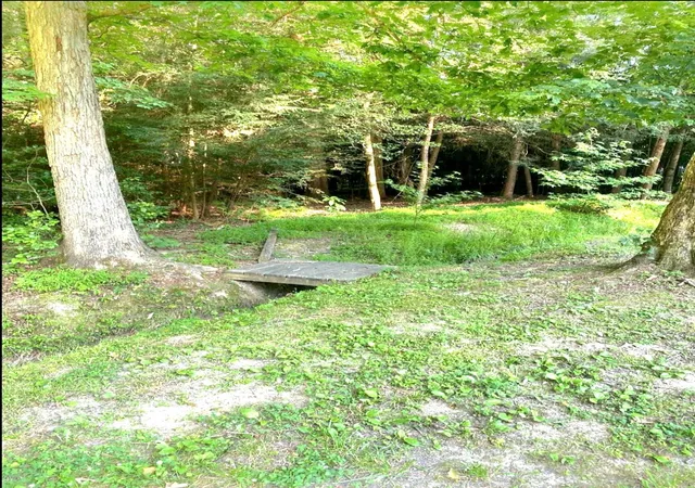 41st image of 89 Trail's End, Corbin, KY 40701 | MLS# 25503068