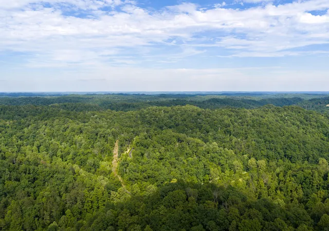 Homes for sale in Olive Hill, KY | 80 Gregory Way, Olive Hill, KY 41164 | MLS# 25506725