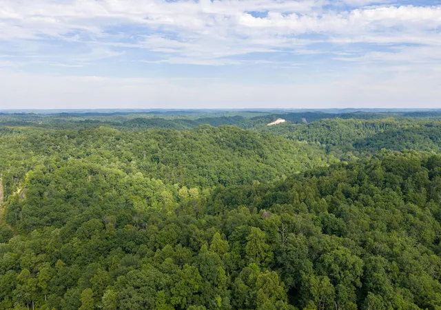 Homes for sale in Olive Hill, KY | 80 Gregory Way, Olive Hill, KY 41164 | MLS# 25506725