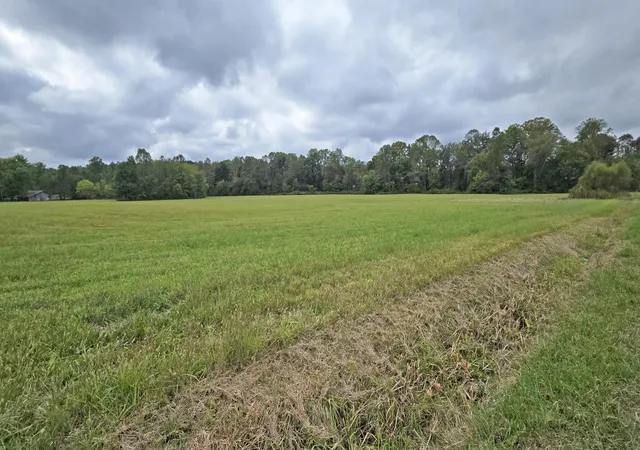 Photo 2 of Land for sale at Tract 2 Brock Ln, London, KY 40744 | MLS# 25502664 | Listing updated on 2025-10-01