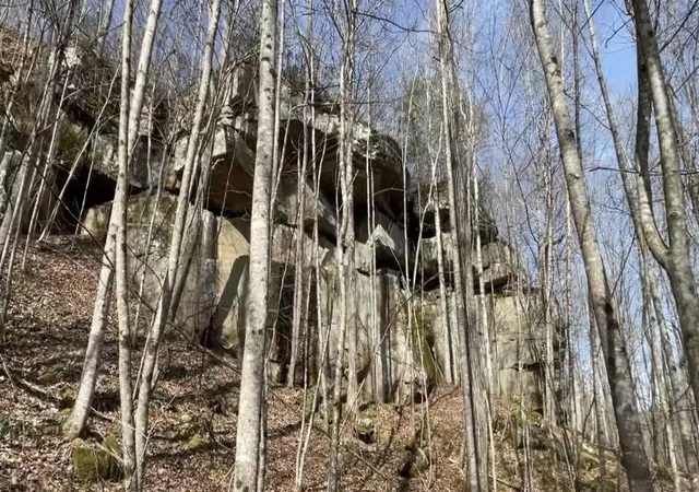 51st image of 9999 Ohler Branch, East Bernstadt, KY 40729 | MLS# 25502897