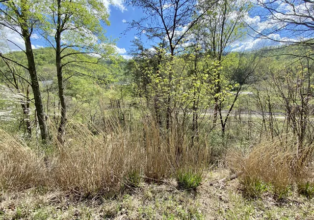 Photo 3 of Land for sale at 220 Old Commissary Rd, Williamsburg, KY 40769 | MLS# 25503146 | Listing updated on 2026-06-11