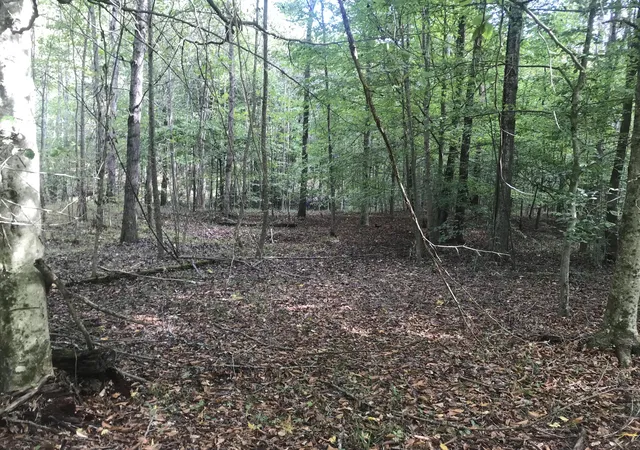 Photo 3 of Land for sale at 0 Farmhouse Trl, Morehead, KY 40351 | MLS# 25503481 | Listing updated on 2026-04-09