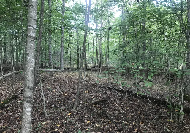 Photo 4 of Land for sale at 0 Farmhouse Trl, Morehead, KY 40351 | MLS# 25503481 | Listing updated on 2026-04-09