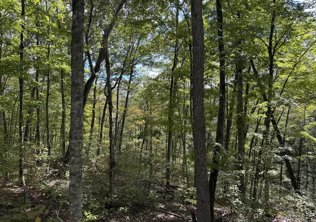 1st image of Lot 87,88,89 Sandstone Point Trl, Monticello, KY 42633 | MLS# 25503878