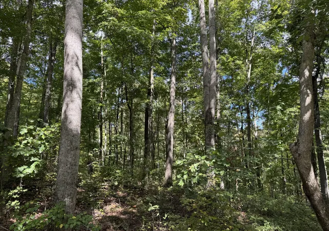 2nd image of Lot 87,88,89 Sandstone Point Trl, Monticello, KY 42633 | MLS# 25503878