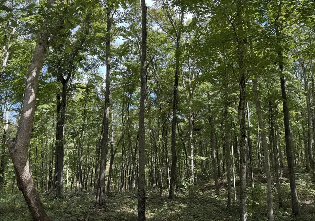 3rd image of Lot 87,88,89 Sandstone Point Trl, Monticello, KY 42633 | MLS# 25503878