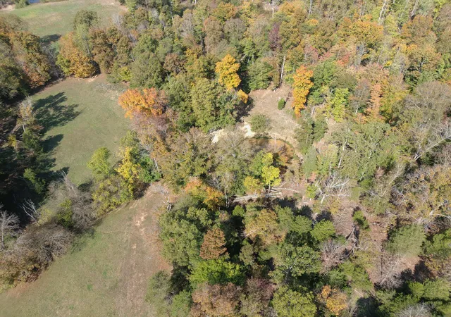 Homes for sale in Gravel Switch, KY | 4805 Scrubgrass Rd, Gravel Switch, KY 40328 | MLS# 25504142
