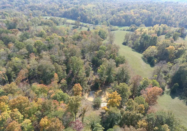 Homes for sale in Gravel Switch, KY | 4805 Scrubgrass Rd, Gravel Switch, KY 40328 | MLS# 25504142
