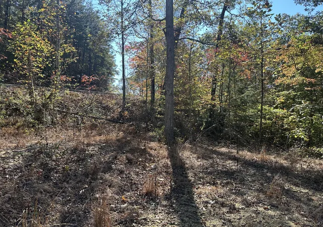 Photo 4 of Land for sale at 68 Wood View Dr #Tract  7, East Bernstadt, KY 40729 | MLS# 25504233 | Listing updated on 2026-10-13