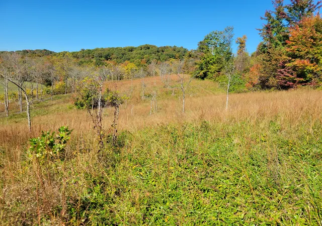 Photo 2 of Land for sale at 8888 Old Way Rd, London, KY 40741 | MLS# 25505358 | Listing updated on 2025-11-05