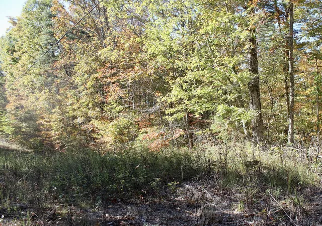 Homes for sale in East Bernstadt, KY | 2577 Hazel Patch Rd, East Bernstadt, KY 40729 | MLS# 25504411