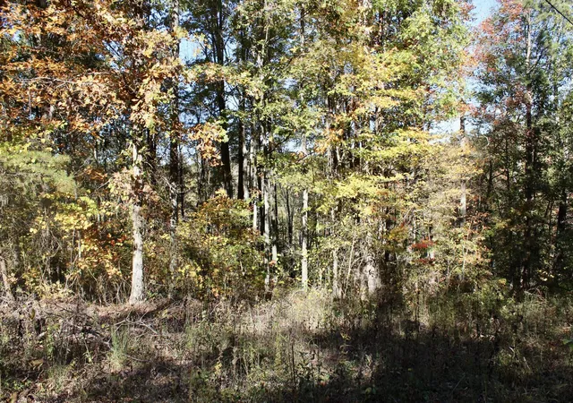 Photo 3 of Land for sale at 2577 Hazel Patch Rd, East Bernstadt, KY 40729 | MLS# 25504411 | Listing updated on 2026-10-08