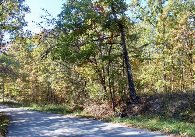Photo 3 of Land for sale at 2577 Hazel Patch Rd, East Bernstadt, KY 40729 | MLS# 25504411 | Listing updated on 2026-10-08