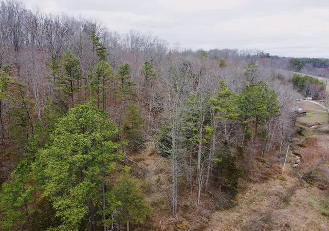 Photo 3 of Land for sale at 9999 Robinson Crk Rd, Manchester, KY 40962 | MLS# 25504299 | Listing updated on 2026-03-11