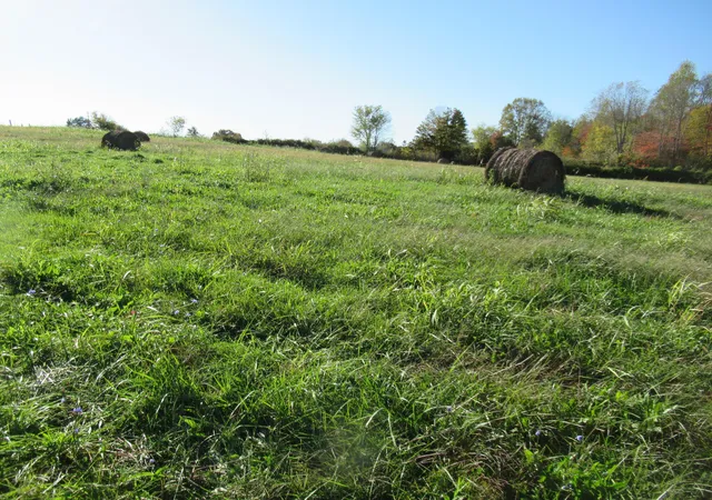 Photo 1 of Land for sale at 3532 Hwy 461 Tract 2, Somerset, KY 42503 | MLS# 25504384 | Listing updated on 2025-10-23