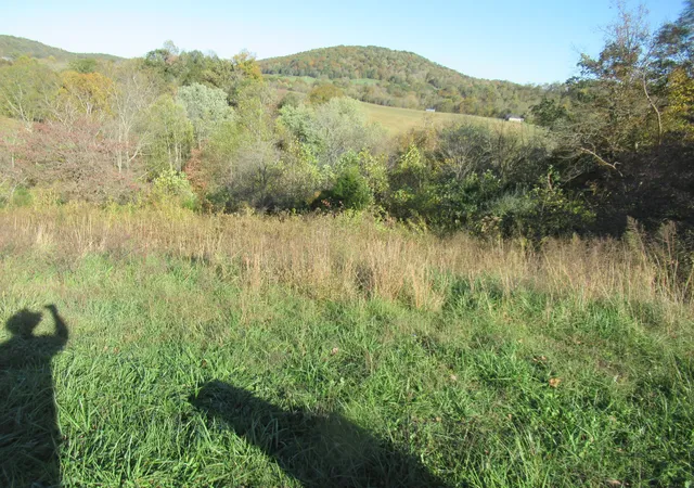 Photo 3 of House for sale at 3532 Hwy 461 Tract 2, Somerset, KY 42503 | MLS# 25504384 | Listing updated on 2025-10-23