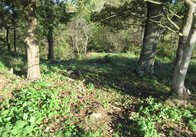 Photo 4 of House for sale at 3532 Hwy 461 Tract 2, Somerset, KY 42503 | MLS# 25504384 | Listing updated on 2025-10-23