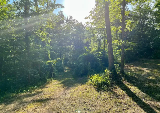 Photo 2 of Land for sale at 0 Caudill Rd, Beattyville, KY 41311 | MLS# 25504791 | Listing updated on 2025-11-15