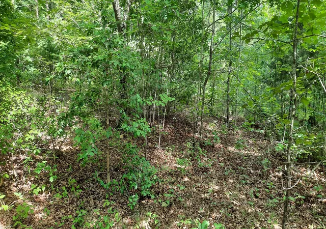 Photo 3 of Land for sale at 47 Vali Cir, London, KY 40741 | MLS# 25504927 | Listing updated on 2026-10-13