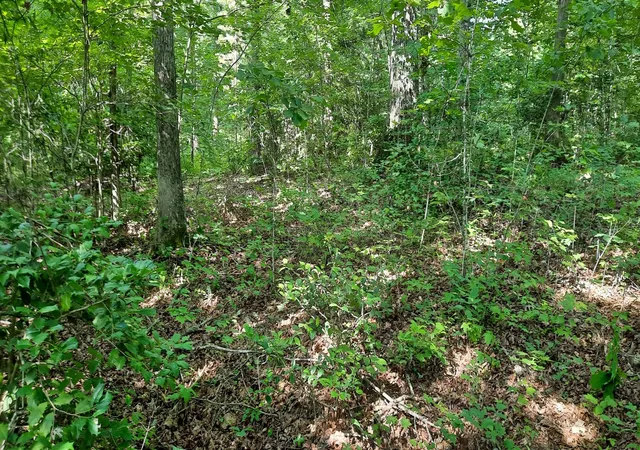 Photo 3 of Land for sale at 47 Vali Cir, London, KY 40741 | MLS# 25504927 | Listing updated on 2026-10-13