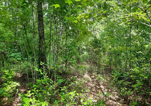 Photo 4 of Land for sale at 47 Vali Cir, London, KY 40741 | MLS# 25504927 | Listing updated on 2026-10-13