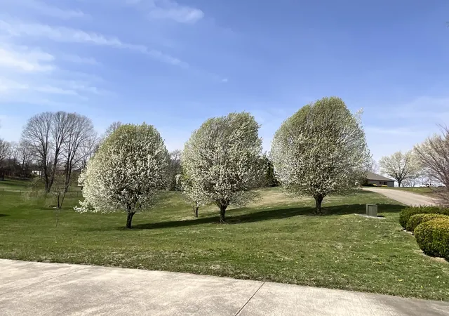 Photo 3 of Single family home for sale at 415 Splendor View Dr, Somerset, KY 42503 | MLS# 25504804 | Listing updated on 2026-09-20