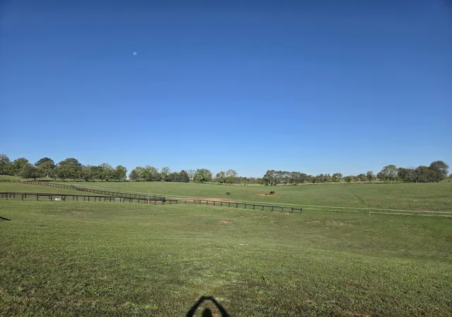 46th image of 1231/1235 Jackstown Rd, Paris, KY 40361 | MLS# 25504860