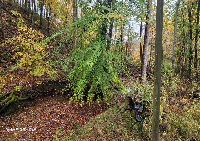 3rd image of 1121 Breeding Rd, Edmonton, KY 42129 | MLS# 25504842