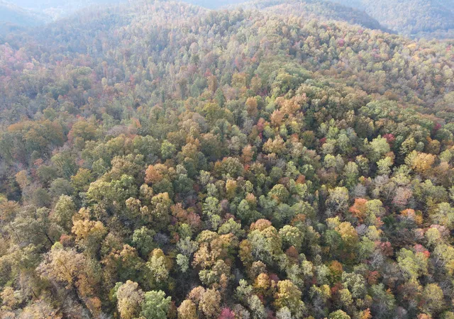 Photo 2 of Land for sale at 999 Flinchum Ridge Rd, Irvine, KY 40336 | MLS# 25505200 | Listing updated on 2025-11-03