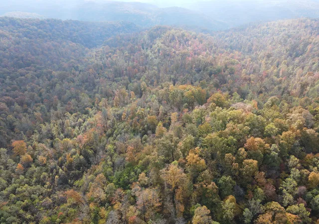 Photo 3 of Land for sale at 999 Flinchum Ridge Rd, Irvine, KY 40336 | MLS# 25505200 | Listing updated on 2025-11-03