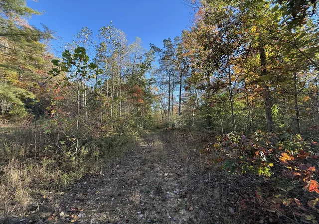 Photo 3 of Land for sale at 999 Flinchum Ridge Rd, Irvine, KY 40336 | MLS# 25505200 | Listing updated on 2025-11-03