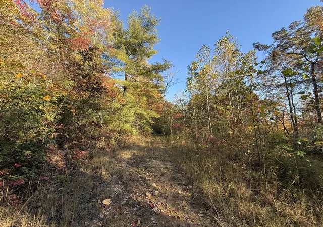 Photo 4 of Land for sale at 999 Flinchum Ridge Rd, Irvine, KY 40336 | MLS# 25505200 | Listing updated on 2025-11-03
