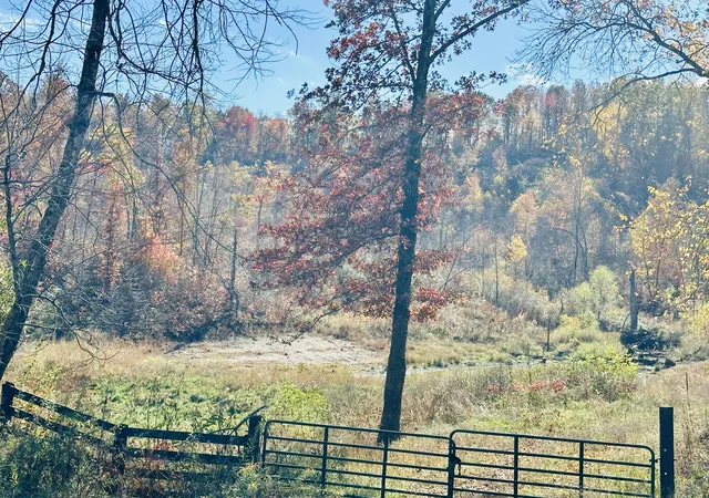 Photo 1 of Land for sale at 279 Jaw Rd, East Bernstadt, KY 40729 | MLS# 25505254 | Listing updated on 2025-11-04
