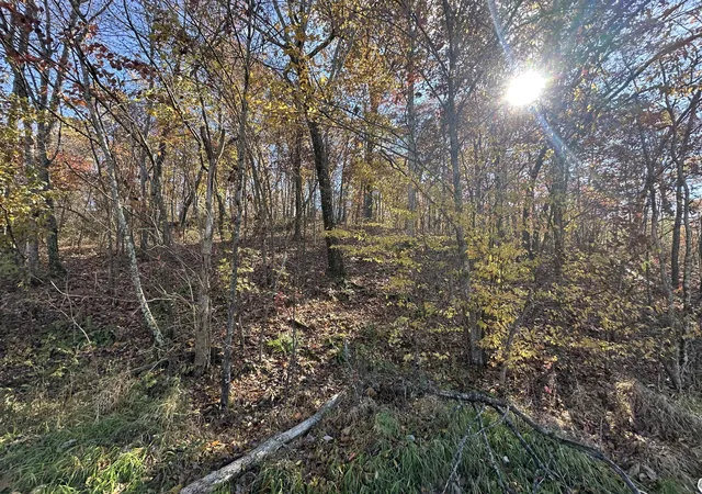 Photo 3 of Land for sale at 279 Jaw Rd, East Bernstadt, KY 40729 | MLS# 25505254 | Listing updated on 2025-11-04