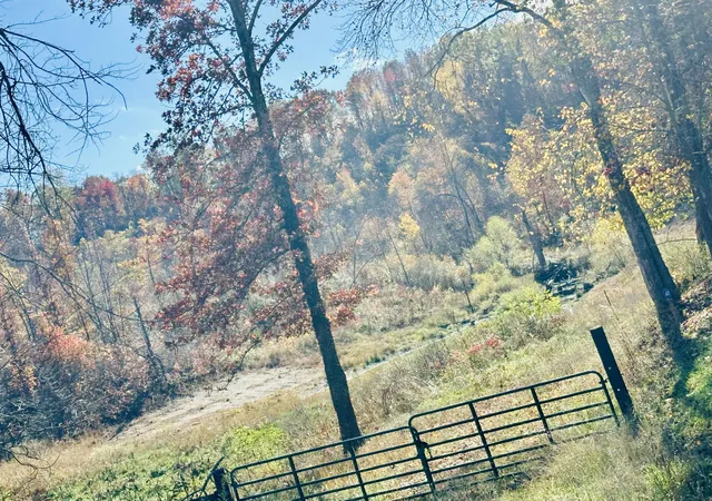 Photo 4 of Land for sale at 279 Jaw Rd, East Bernstadt, KY 40729 | MLS# 25505254 | Listing updated on 2025-11-04