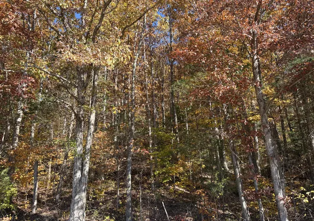 52nd image of 3999 Mckee Rd, Irvine, KY 40336 | MLS# 25505570