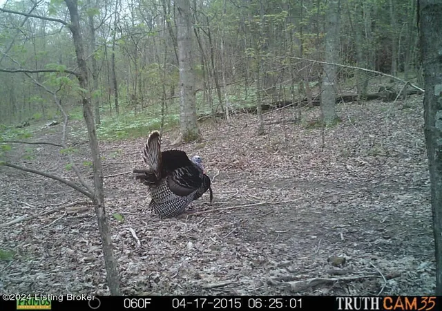 Photo 2 of Land for sale at 2409 Benleo Rd, Bowling Green, KY 42101 | MLS# 25505633 | Listing updated on 2026-07-30