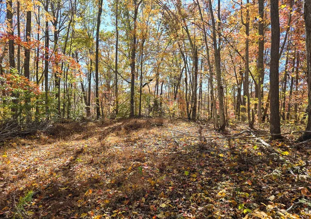 Photo 130 of Single family home for sale at 1445 Bastin Crk Rd, Kings Mountain, KY 40442 | MLS# 25505941 | Listing updated on 2025-12-30
