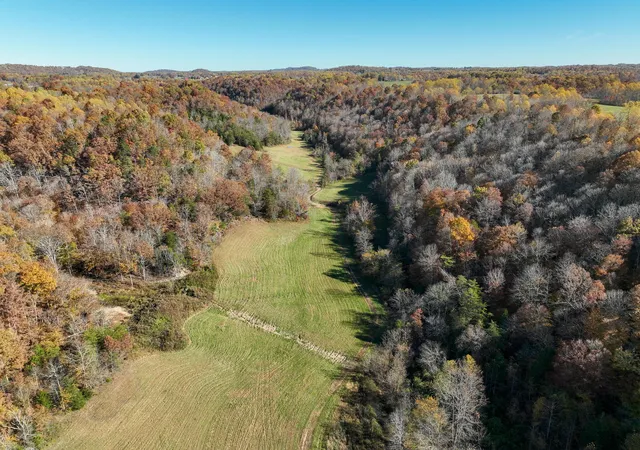 Photo 4 of Single family home for sale at 1445 Bastin Crk Rd, Kings Mountain, KY 40442 | MLS# 25505941 | Listing updated on 2025-12-30