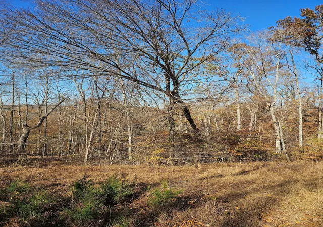 4th image of 0 Lantern Way, Jamestown, KY 42629 | MLS# 25507339