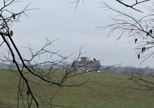 5th image of Tract 2-A1 Lancaster Rd, Richmond, KY 40475 | MLS# 25506730
