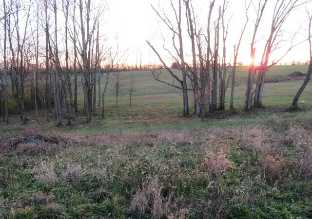 14th image of 590 Craig Crossing, Winchester, KY 40391 | MLS# 25506729